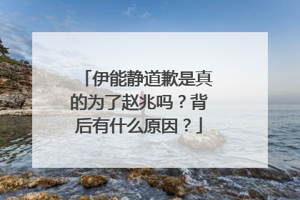 伊能静道歉是真的为了赵兆吗?背后有什么原因?