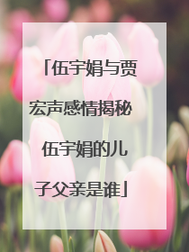 伍宇娟与贾宏声感情揭秘 伍宇娟的儿子父亲是谁