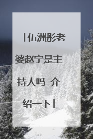 伍洲彤老婆赵宁是主持人吗 介绍一下