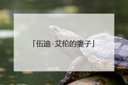 伍迪·艾伦的妻子