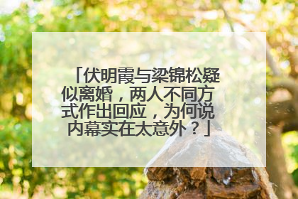 伏明霞与梁锦松疑似离婚，两人不同方式作出回应，为何说内幕实在太意外？