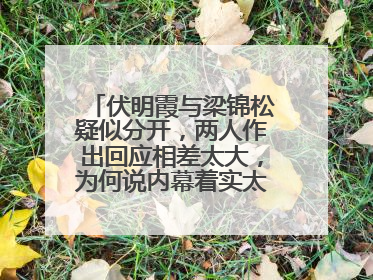 伏明霞与梁锦松疑似分开，两人作出回应相差太大，为何说内幕着实太意外？