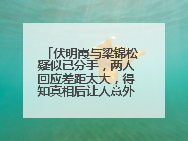 伏明霞与梁锦松疑似已分手，两人回应差距太大，得知真相后让人意外，为何？