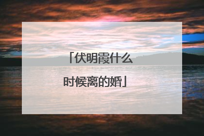 伏明霞什么时候离的婚