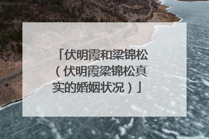 伏明霞和梁锦松(伏明霞梁锦松真实的婚姻状况)