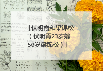 伏明霞和梁锦松（伏明霞23岁嫁50岁梁锦松）