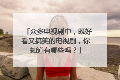 众多电视剧中，既好看又搞笑的电视剧，你知道有哪些吗？