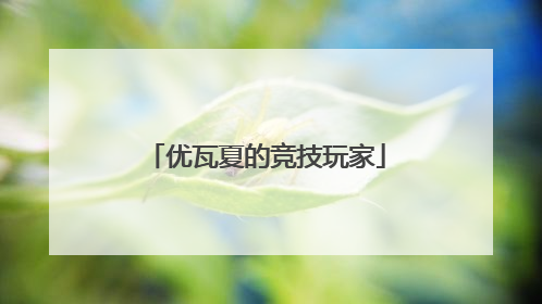 优瓦夏的竞技玩家