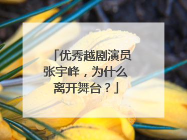 优秀越剧演员张宇峰，为什么离开舞台？