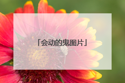 会动的鬼图片