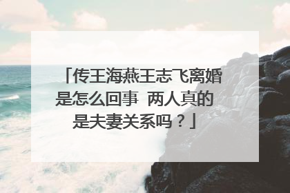 传王海燕王志飞离婚是怎么回事 两人真的是夫妻关系吗？
