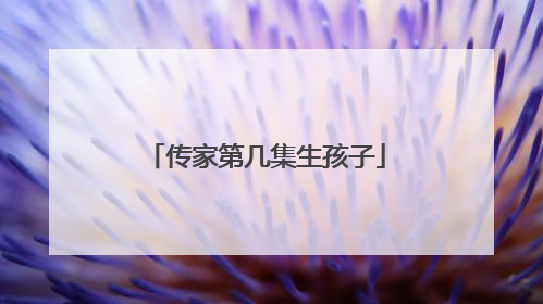 传家第几集生孩子