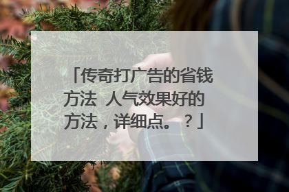 传奇打广告的省钱方法 人气效果好的方法，详细点。？