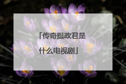 传奇摄政君是什么电视剧