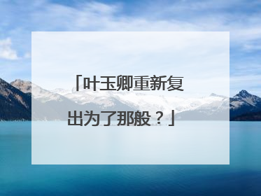 叶玉卿重新复出为了那般?