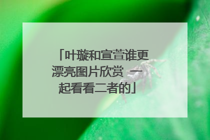 叶璇和宣萱谁更漂亮图片欣赏 一起看看二者的