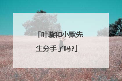 叶璇和小默先生分手了吗?