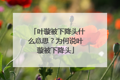 叶璇被下降头什么意思？为何说叶璇被下降头