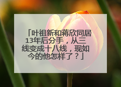 叶祖新和蒋欣同居13年后分手,从三线变成十八线,现如今的他怎样了?