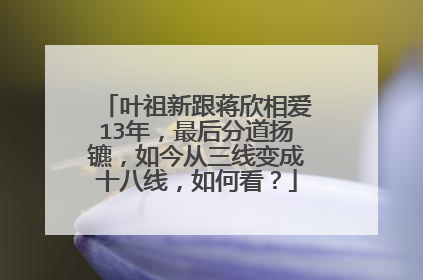 叶祖新跟蒋欣相爱13年,最后分道扬镳,如今从三线变成十八线,如何看?