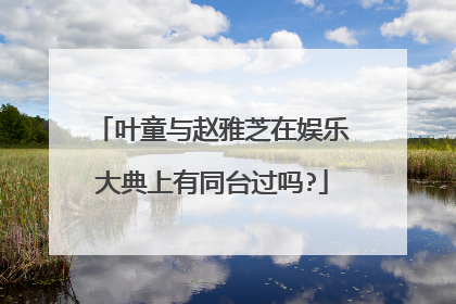 叶童与赵雅芝在娱乐大典上有同台过吗?
