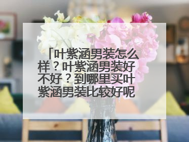 叶紫涵男装怎么样？叶紫涵男装好不好？到哪里买叶紫涵男装比较好呢？求答案。
