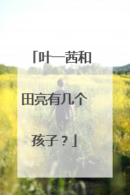 叶一茜和田亮有几个孩子？