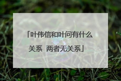 叶伟信和叶问有什么关系 两者无关系