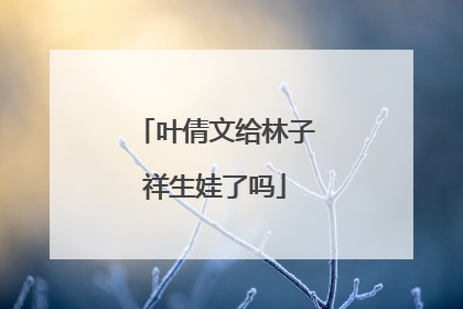 叶倩文给林子祥生娃了吗