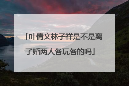 叶倩文林子祥是不是离了婚两人各玩各的吗