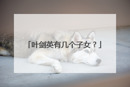 叶剑英有几个子女？