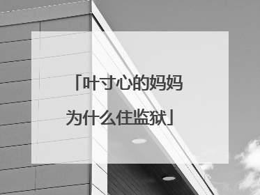 叶寸心的妈妈为什么住监狱