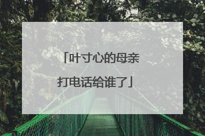 叶寸心的母亲打电话给谁了