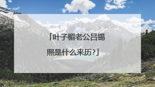 叶子楣老公吕锡照是什么来历?