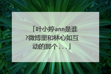 叶小婷ann是谁?微博里和林心如互动的那个...
