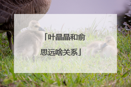 叶晶晶和俞思远啥关系