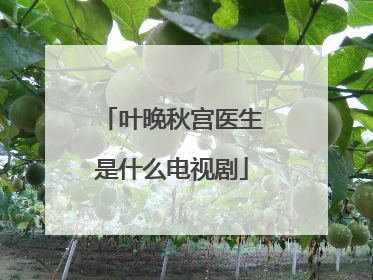 叶晚秋宫医生是什么电视剧