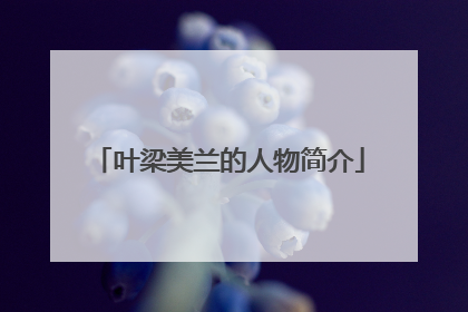 叶梁美兰的人物简介