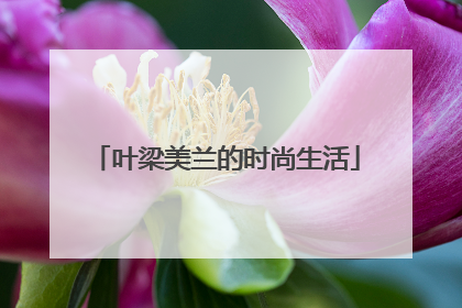 叶梁美兰的时尚生活