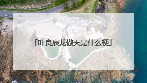 叶良辰龙傲天是什么梗