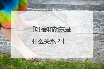 叶蓓和胡东是什么关系？