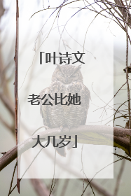 叶诗文老公比她大几岁