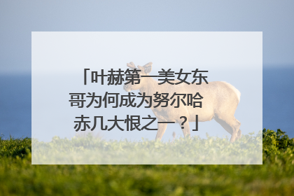 叶赫第一美女东哥为何成为努尔哈赤几大恨之一?