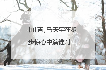 叶青,马天宇在步步惊心中演谁?