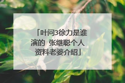 叶问3徐力是谁演的 张继聪个人资料老婆介绍