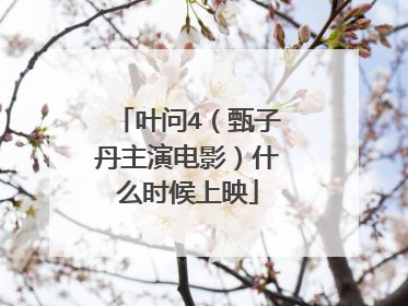 叶问4（甄子丹主演电影）什么时候上映