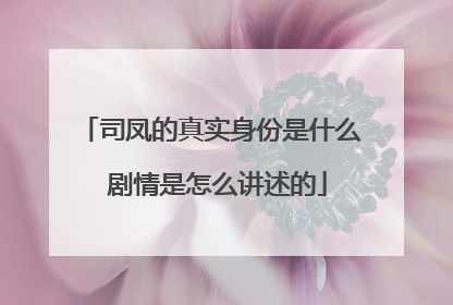 司凤的真实身份是什么 剧情是怎么讲述的