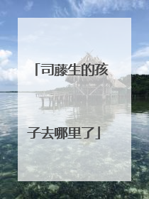 司藤生的孩子去哪里了