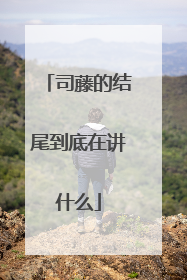 司藤的结尾到底在讲什么