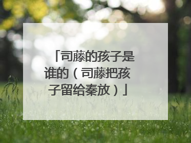 司藤的孩子是谁的（司藤把孩子留给秦放）